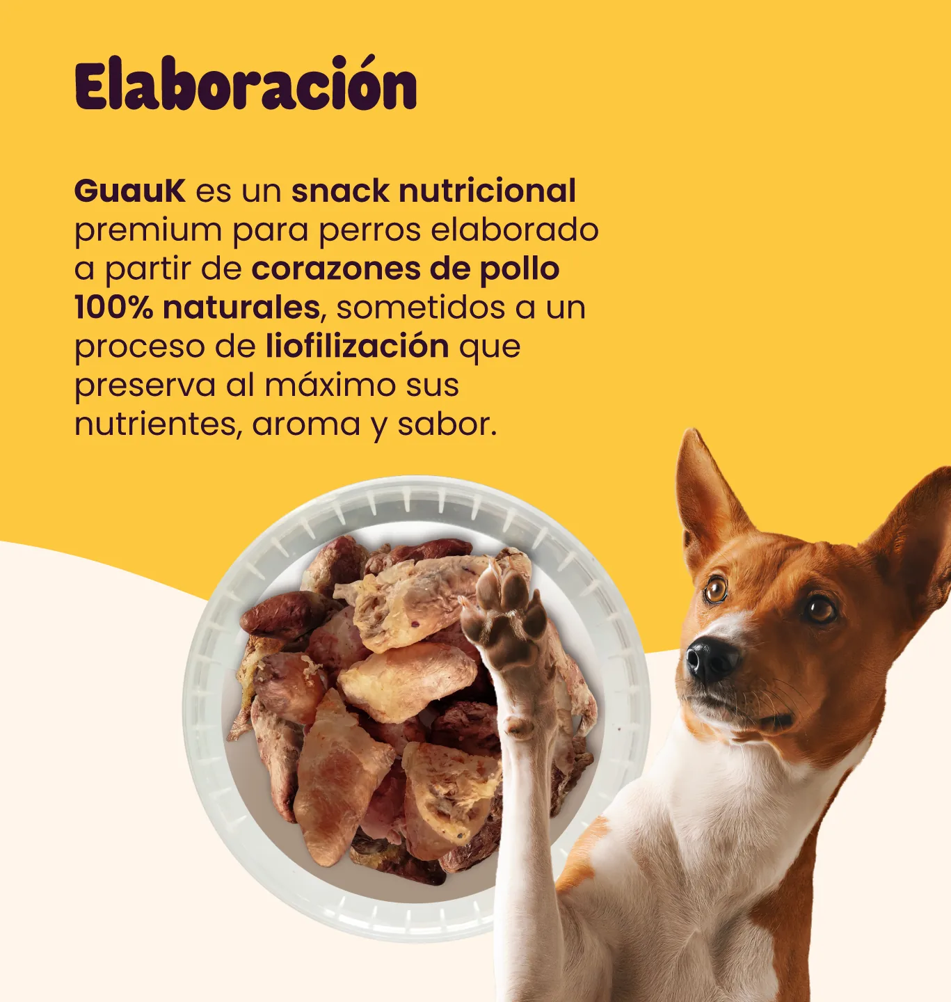 GuauK - Image 2