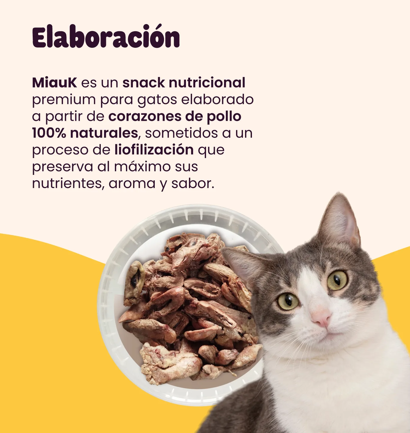 MiauK - Image 2